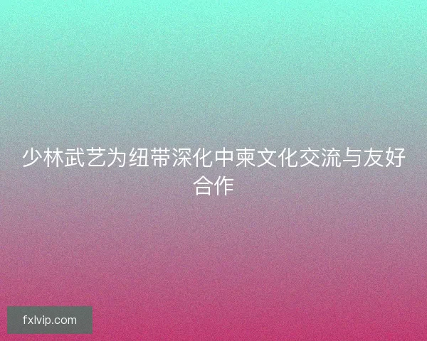 少林武艺为纽带深化中柬文化交流与友好合作